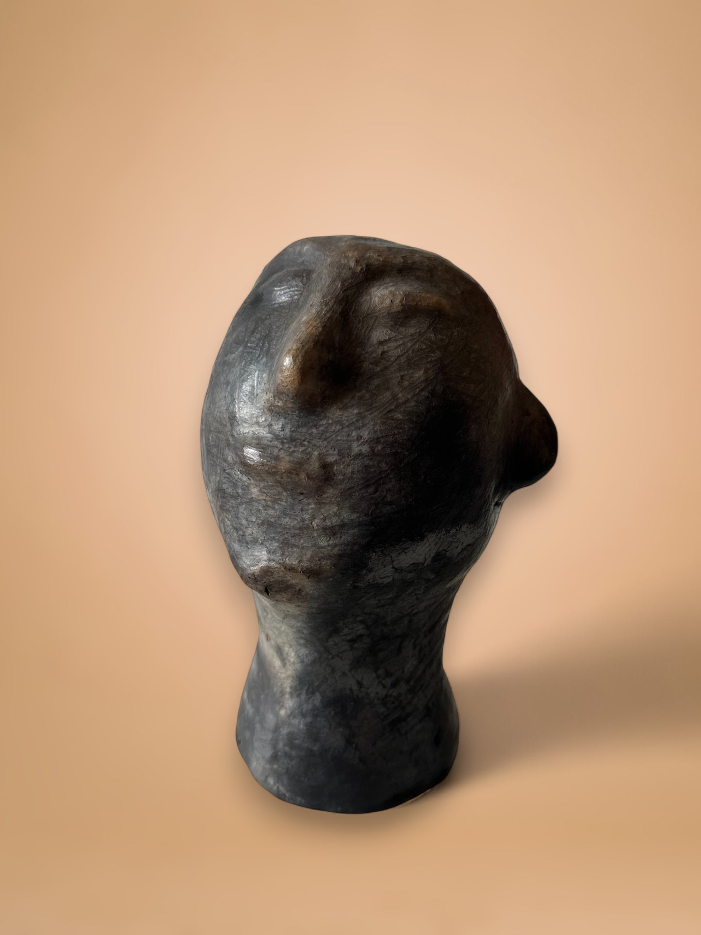 Skulptur Sejnane № 11